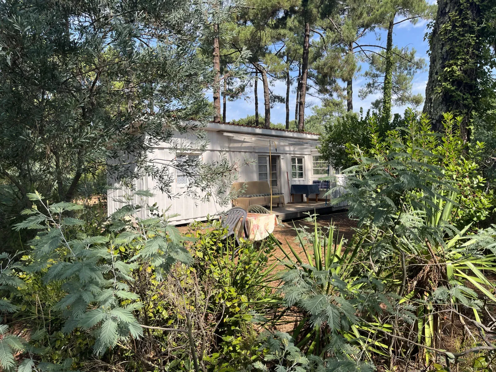 Bungalow Polynésie, photo 1 sur 9