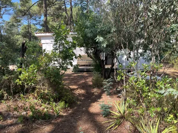 Bungalow Polynésie, photo 2 sur 9